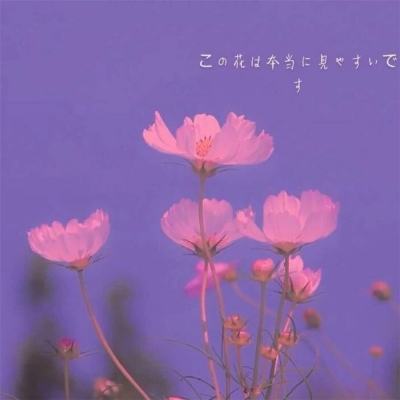 乐鱼app(中国体育)官方网站手机app下载